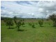 716 CORINGA ROAD, Coringa QLD 4621