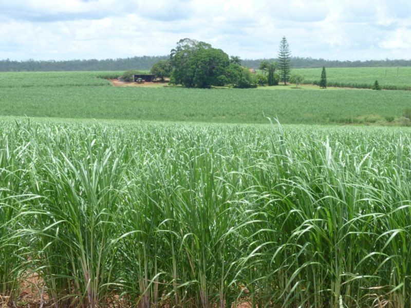 674 ADIES ROAD, ISIS CENTRAL, Childers QLD 4660