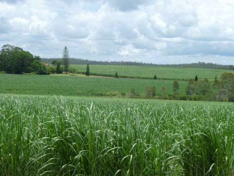 674 ADIES ROAD, ISIS CENTRAL, Childers QLD 4660