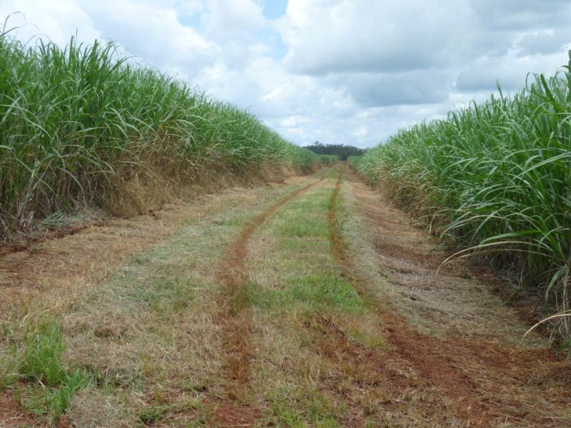 674 ADIES ROAD, ISIS CENTRAL, Childers QLD 4660