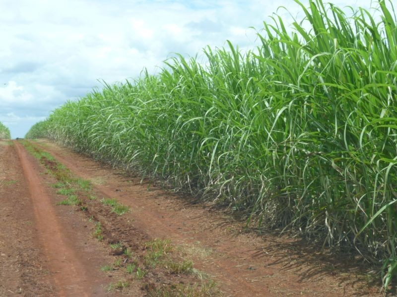 674 ADIES ROAD, ISIS CENTRAL, Childers QLD 4660