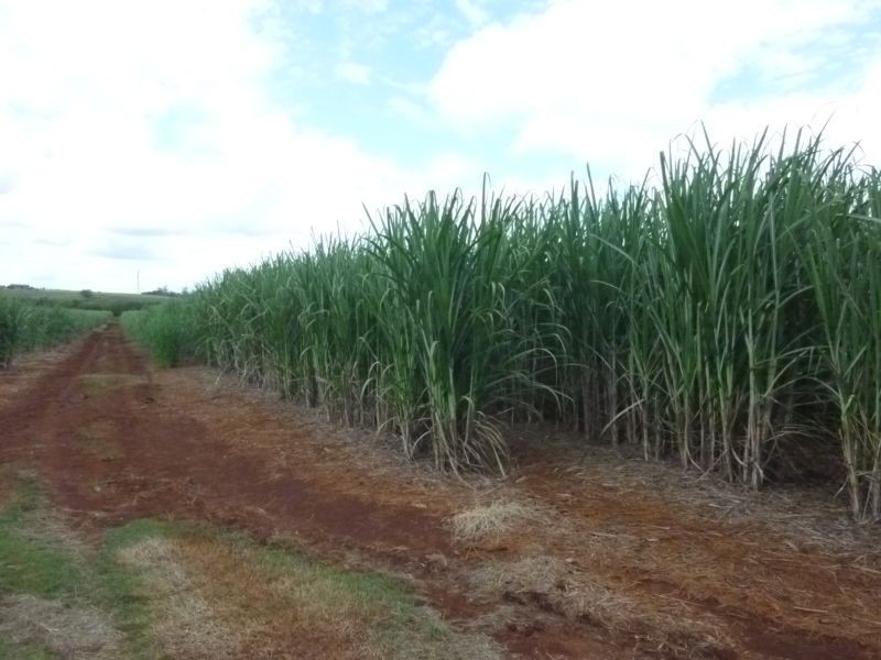 674 ADIES ROAD, ISIS CENTRAL, Childers QLD 4660