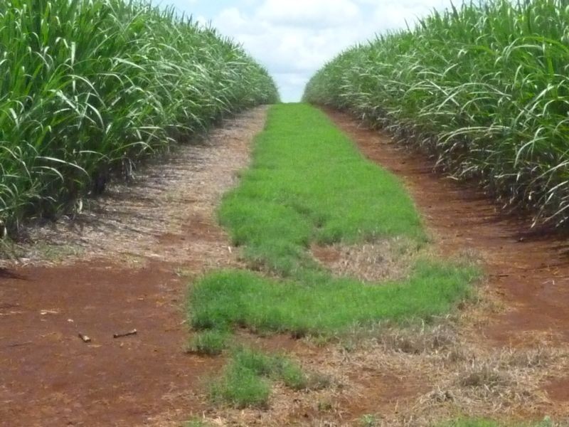 674 ADIES ROAD, ISIS CENTRAL, Childers QLD 4660