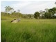 3473 YARROL ROAD, YARROL, Monto QLD 4630