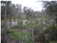 3473 YARROL ROAD, YARROL, Monto QLD 4630