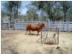 3473 YARROL ROAD, YARROL, Monto QLD 4630