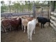3473 YARROL ROAD, YARROL, Monto QLD 4630