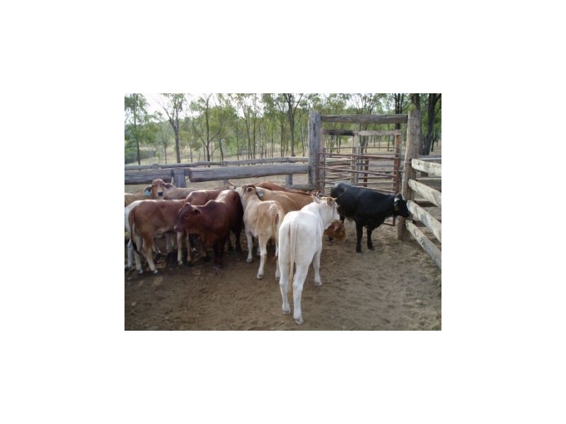 3473 YARROL ROAD, YARROL, Monto QLD 4630