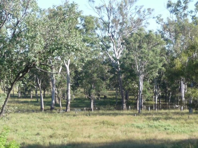 3473 YARROL ROAD, YARROL, Monto QLD 4630