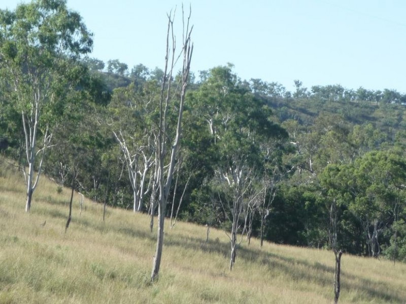 3473 YARROL ROAD, YARROL, Monto QLD 4630