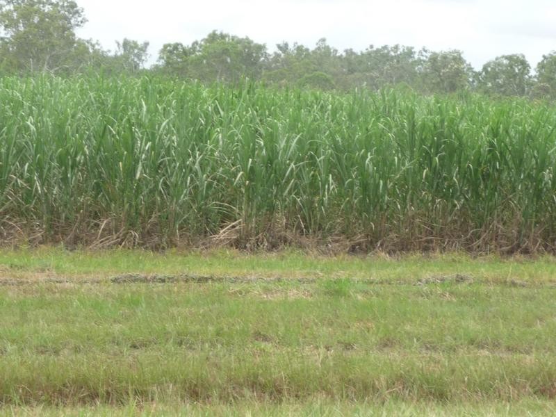 46 ROSS CAMP ROAD, Isis River QLD 4660