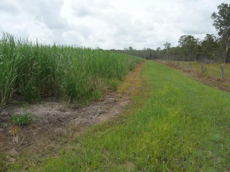 46 ROSS CAMP ROAD, Isis River QLD 4660