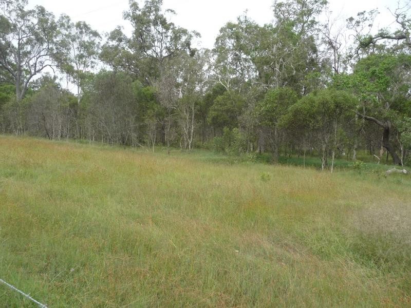 46 ROSS CAMP ROAD, Isis River QLD 4660