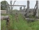 46 ROSS CAMP ROAD, Isis River QLD 4660