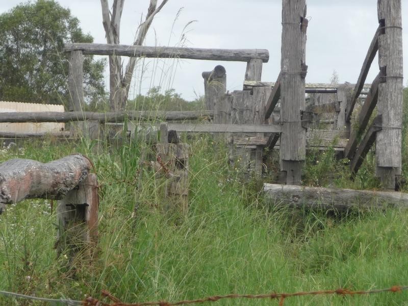 46 ROSS CAMP ROAD, Isis River QLD 4660