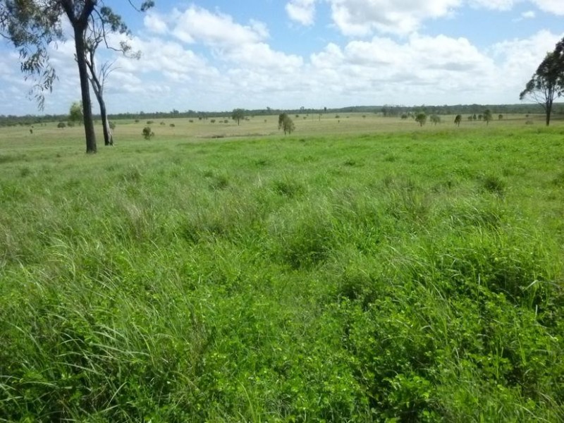 731 EUREKA STATION ROAD, EUREKA, Childers QLD 4660