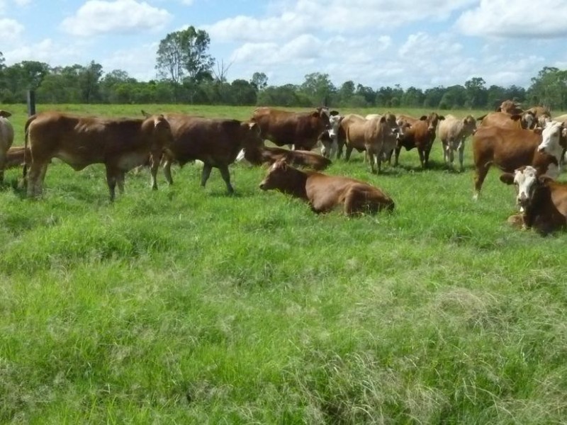 731 EUREKA STATION ROAD, EUREKA, Childers QLD 4660