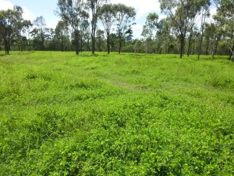 731 EUREKA STATION ROAD, EUREKA, Childers QLD 4660