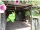 211 Rainbows Road, South Isis QLD 4660