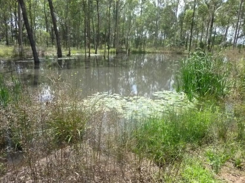 0 MATTS ROAD, Pine Creek QLD 4670
