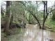 Lot 47,  Isis Highway, Dallarnil QLD 4621