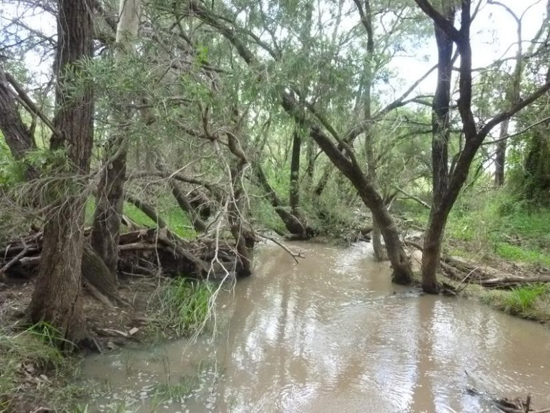 Lot 47,  Isis Highway, Dallarnil QLD 4621