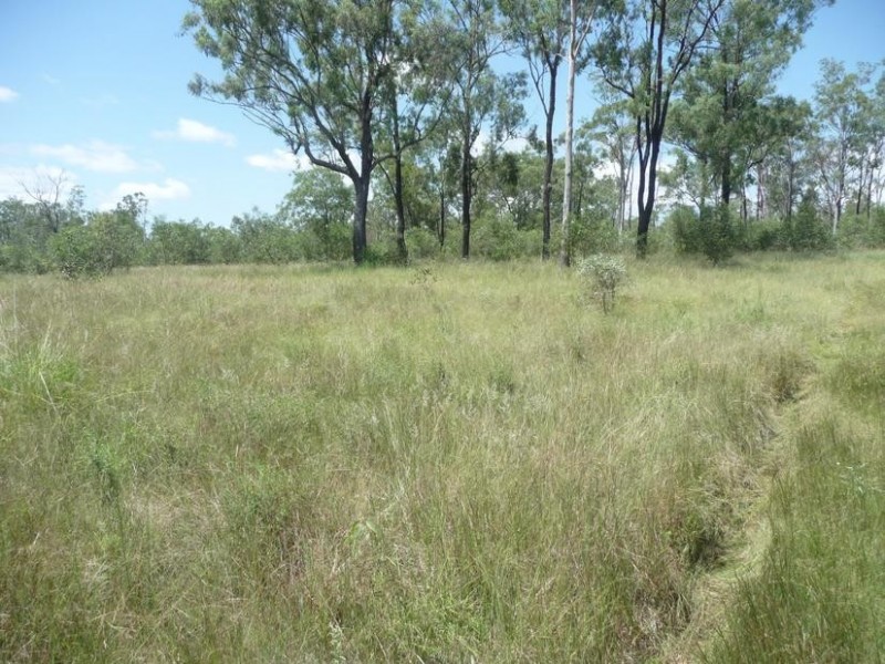 419 RINGWOOD ROAD, Booyal QLD 4671