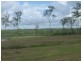 446 RENDALLS ROAD, EUREKA, Childers QLD 4660