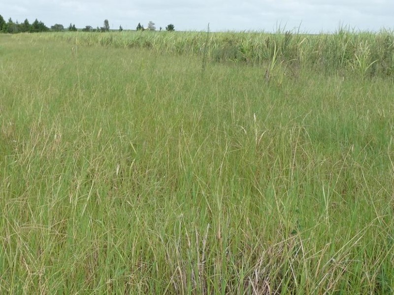 946 FARNSFIELD ROAD, FARNSFIELD, Childers QLD 4660