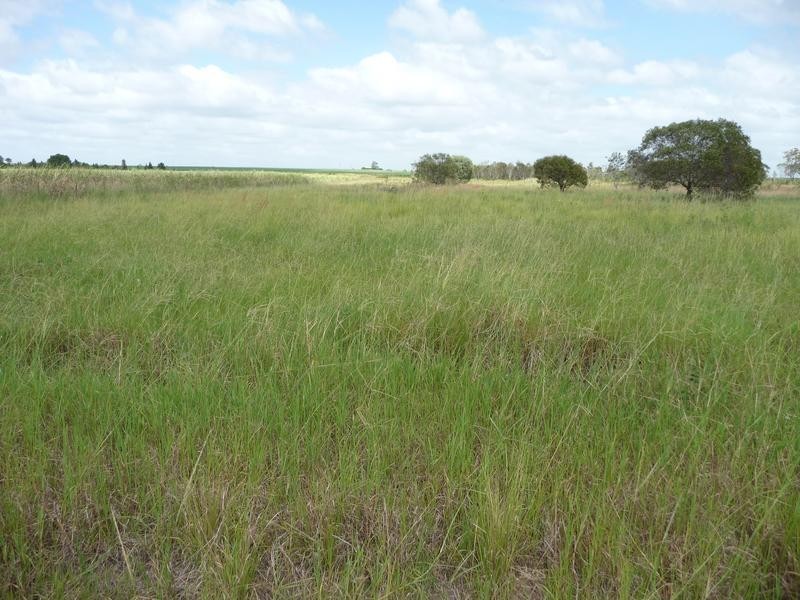 946 FARNSFIELD ROAD, FARNSFIELD, Childers QLD 4660