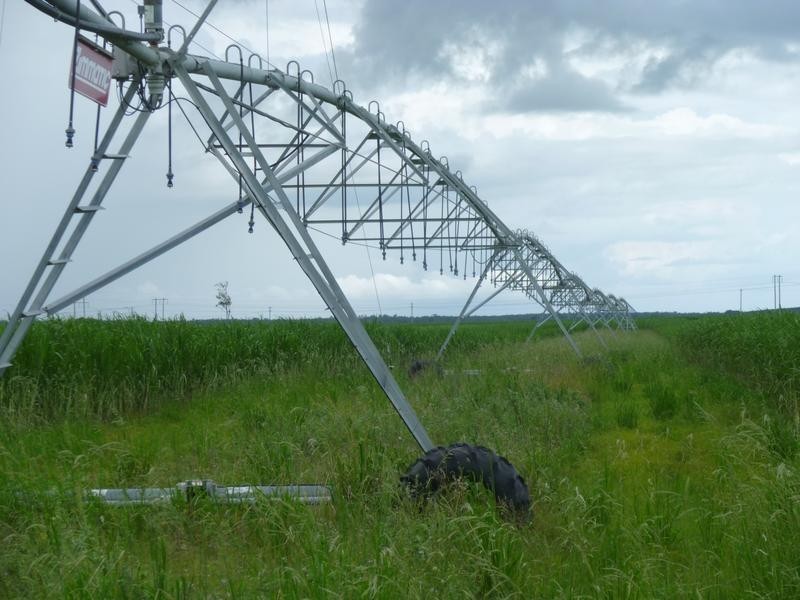 335 BOUCHARDTS ROAD, Farnsfield QLD 4660