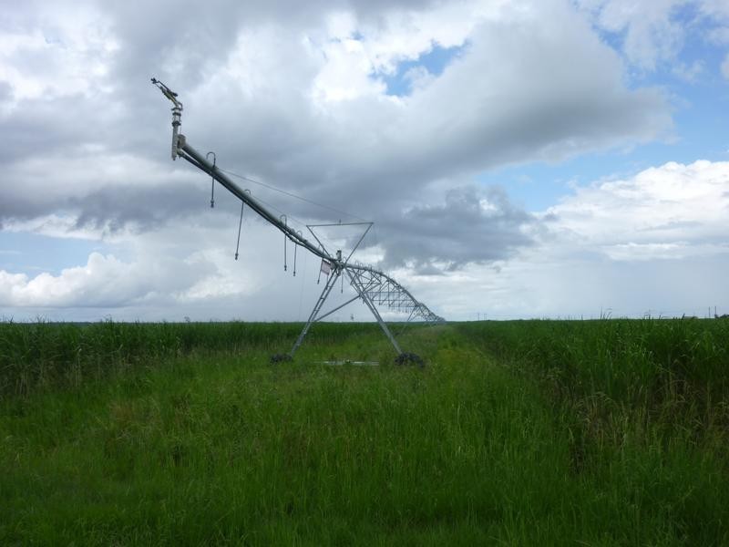 335 BOUCHARDTS ROAD, Farnsfield QLD 4660