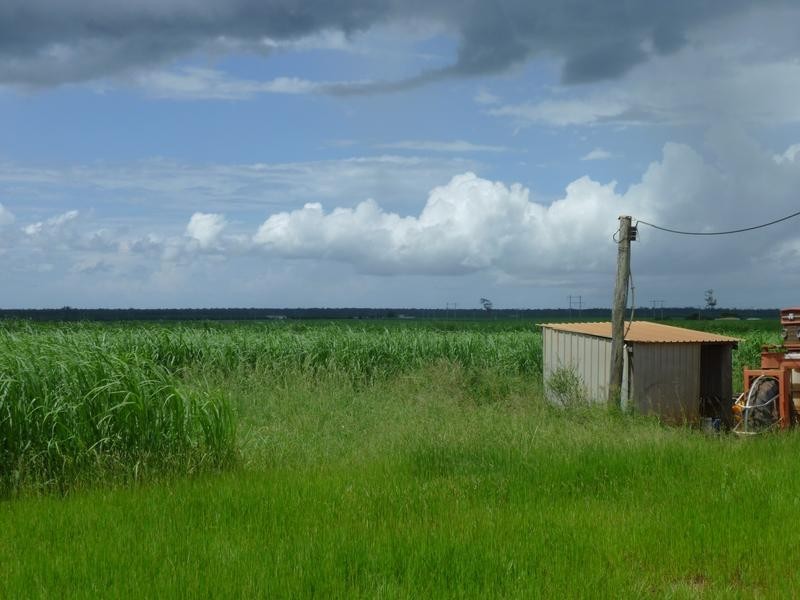 335 BOUCHARDTS ROAD, Farnsfield QLD 4660