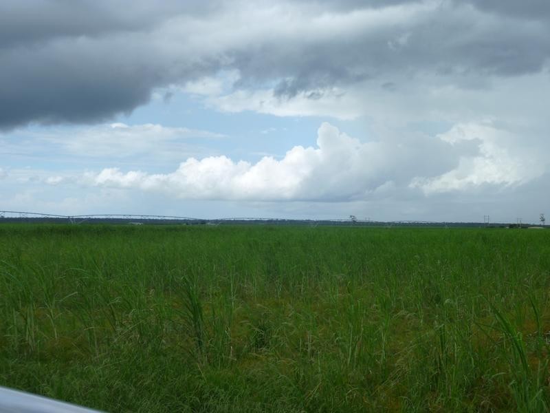 335 BOUCHARDTS ROAD, Farnsfield QLD 4660