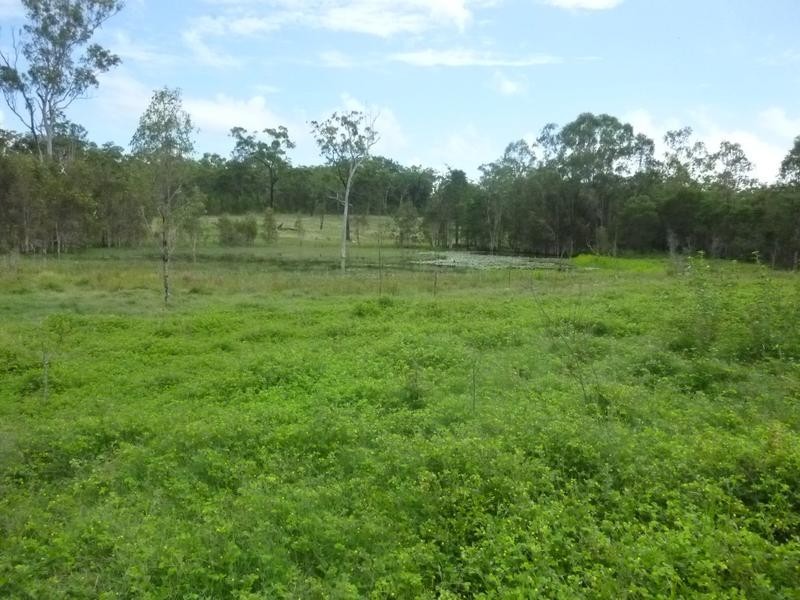 162 GUPPYS ROAD, EUREKA, Childers QLD 4660