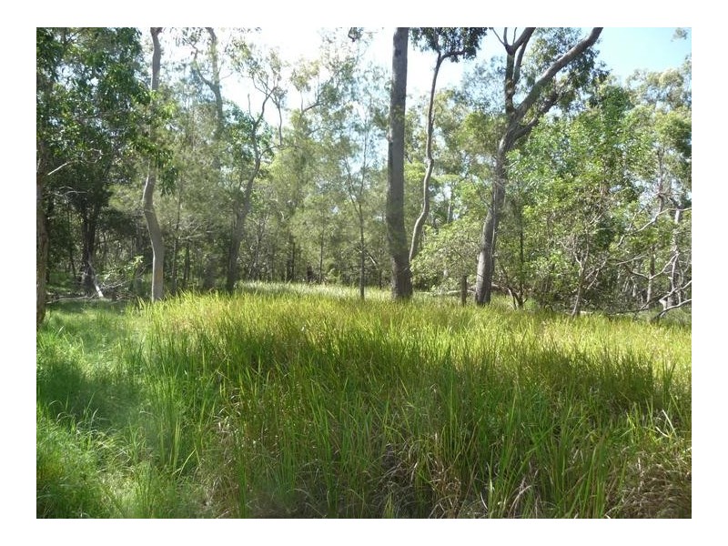 149 BLACKS ROAD, Isis River QLD 4660