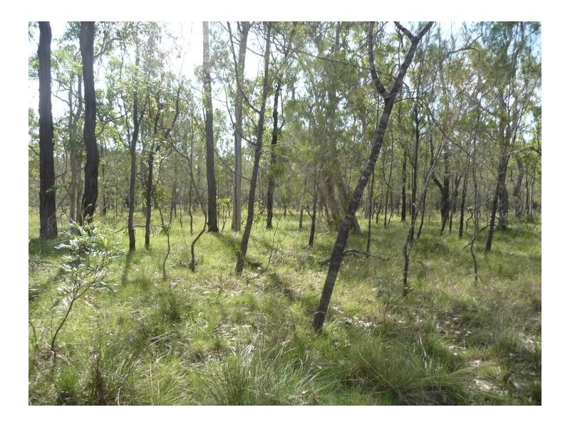 149 BLACKS ROAD, Isis River QLD 4660