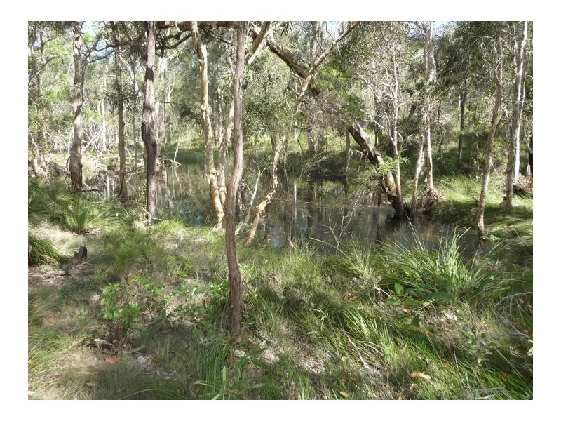 149 BLACKS ROAD, Isis River QLD 4660