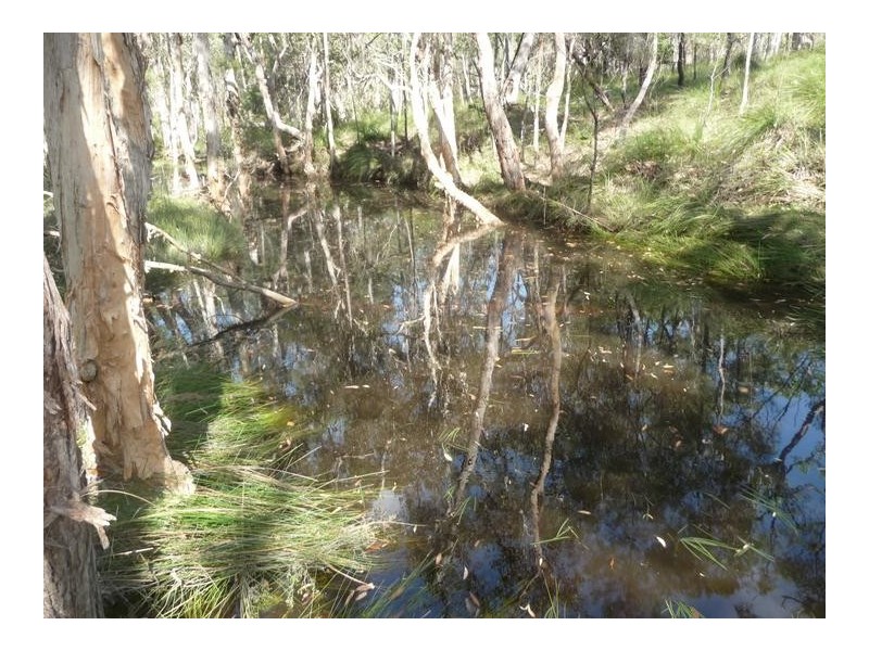 149 BLACKS ROAD, Isis River QLD 4660