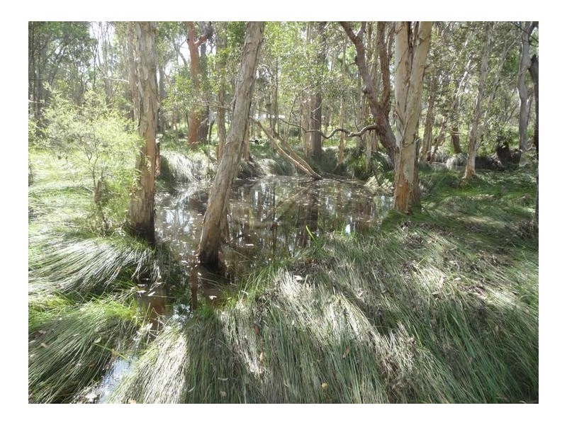 149 BLACKS ROAD, Isis River QLD 4660