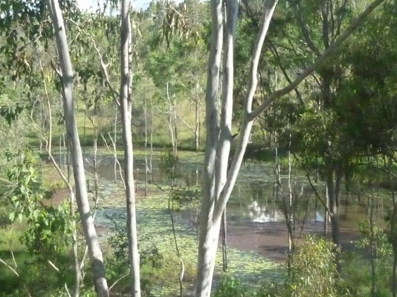 Lot 54,  OLD RANGE ROAD, Dallarnil QLD 4621