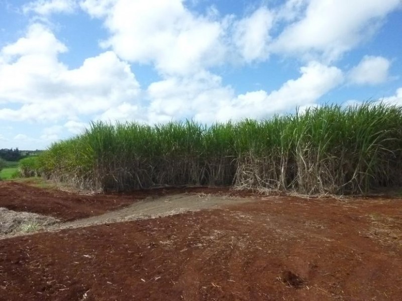 Lot 1,  THOMPSON ROAD, Childers QLD 4660