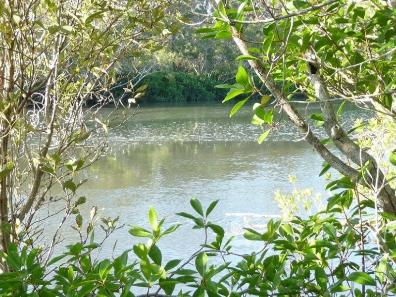 Lot 26,  DEVILS ELBOW, Buxton QLD 4660