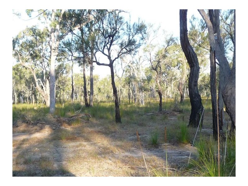 Lot 26,  DEVILS ELBOW, Buxton QLD 4660