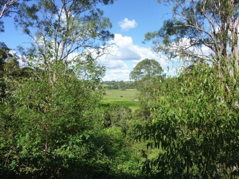 6 ROSENSTET LANE, Apple Tree Creek QLD 4660