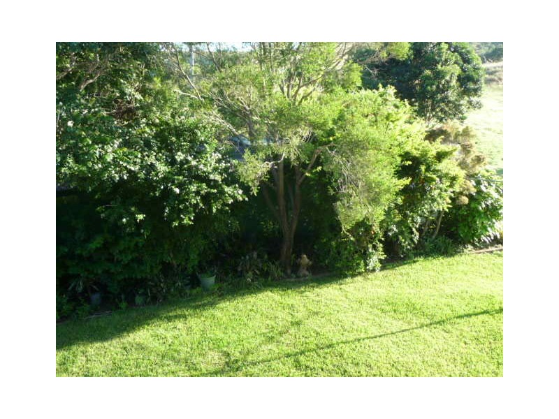 477 MT SHAMROCK ROAD, Coringa QLD 4621