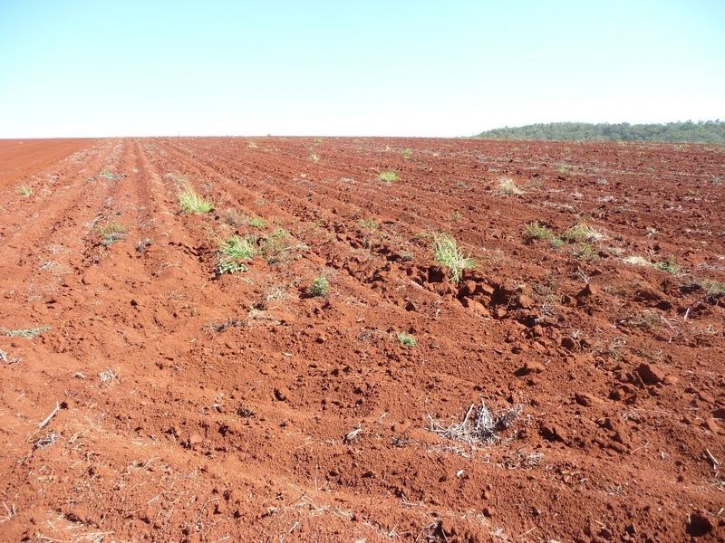Lot 24,  GORRIES ROAD, NORTH ISIS, Childers QLD 4660
