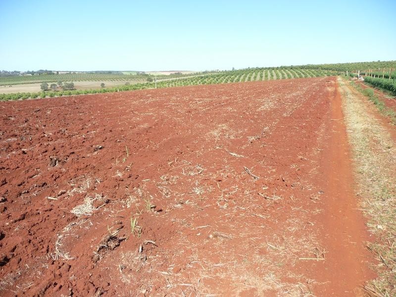 Lot 24,  GORRIES ROAD, NORTH ISIS, Childers QLD 4660