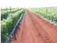 Lot 24,  GORRIES ROAD, NORTH ISIS, Childers QLD 4660