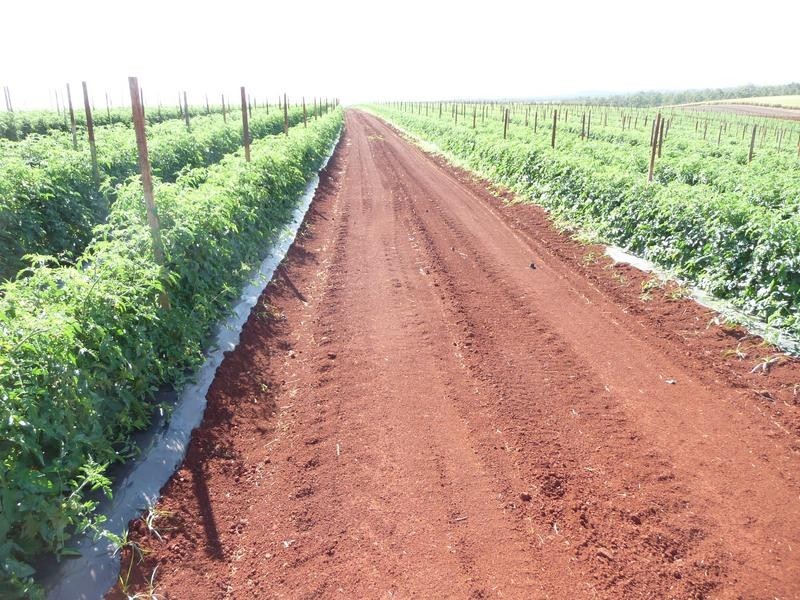 Lot 24,  GORRIES ROAD, NORTH ISIS, Childers QLD 4660
